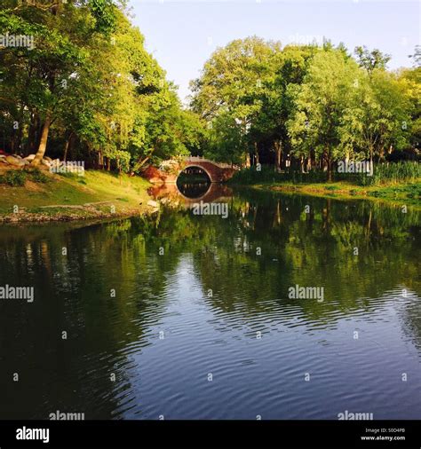 Bridge Over The Pond Stock Photo Alamy