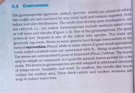 3 4 GYMNOSPERMS The Gymnosperms Gymnos Naked Sperma Seeds Are Plant