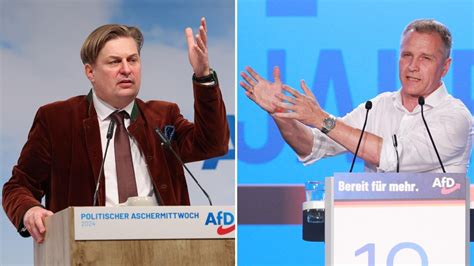 AfD Neue Vorwürfe gegen Krah und Bystron Immer wieder Russland