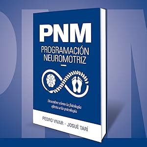 Pnm Programaci N Neuromotriz Descubre C Mo La Fisiolog A Afecta A La