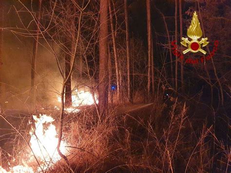 Incendio Al Parco Delle Groane Ettari Di Bosco Avvolti Dalle Fiamme