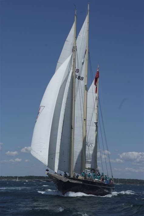 Photos From The 2012 Newport Bermuda Race Start Cruising World