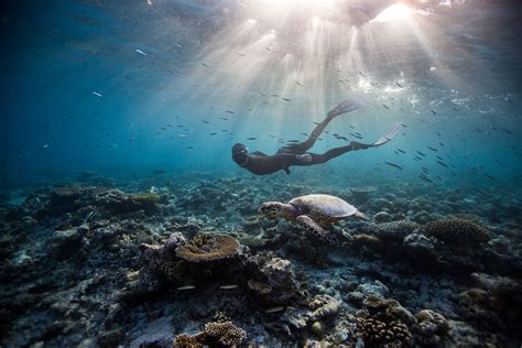 Freediving Photography — One ocean One breath