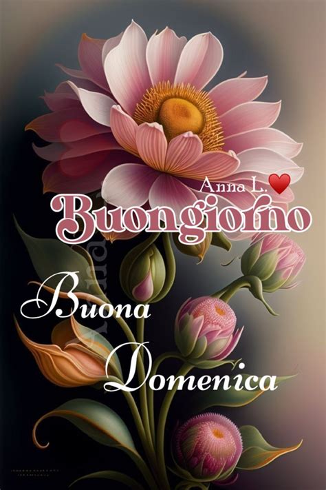 Buongiorno E Buona Domenica Buongiorno Buona Domenica Auguri Di