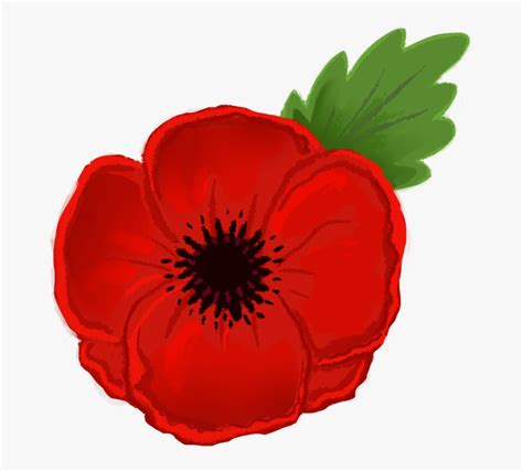 How To Draw A Poppy Flower Easy Step By | Best Flower Site