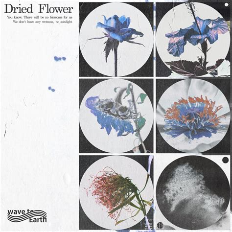 dried flower Single álbum de wave to earth en Apple Music