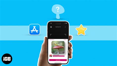 Las Mejores Aplicaciones De Identificaci N De Hongos Para Iphone Y Ipad