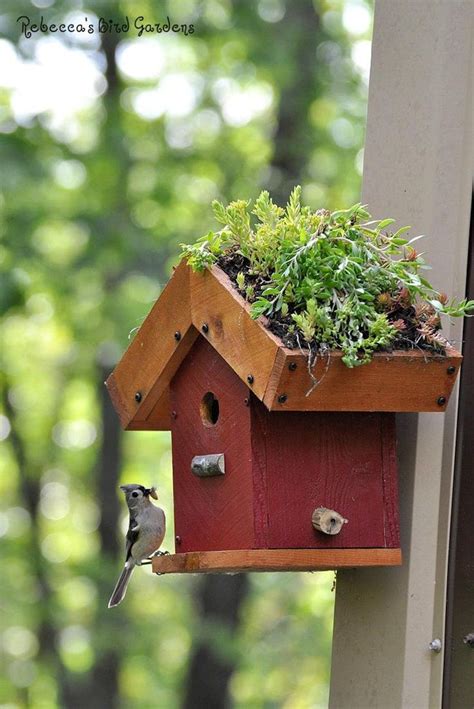 DIY Living Roof Birdhouse Succulent Birdhouse Green Roof Birdhouse