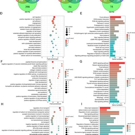 Differential Expression Analysis Of Mrnas Circrnas And Lncrnas A C