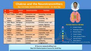 Neurotransmitters And Your Seven Chakras Balancing Your Body Mind