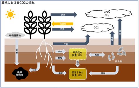 農地は温室効果ガスの吸収源となるか 「炭素貯留農業」の可能性 環境ビジネスオンライン