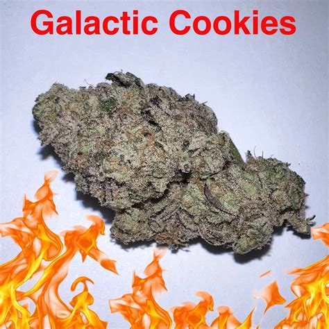 Galactic Cookies Strain 5 Star Craft Grade Heavy Hitter