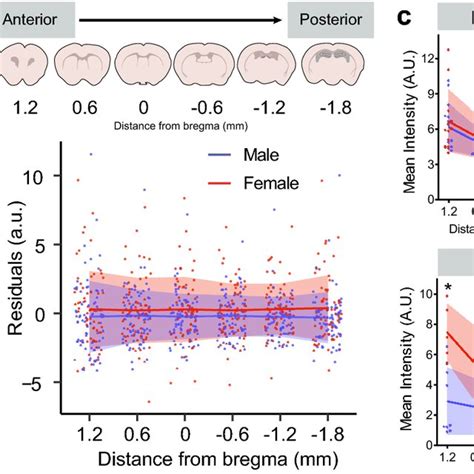 Biological Sex Has No Detectible Effect On Csf Influx Regardless Of