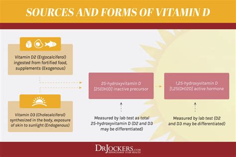 Vitamin D Resistance And Autoimmunity