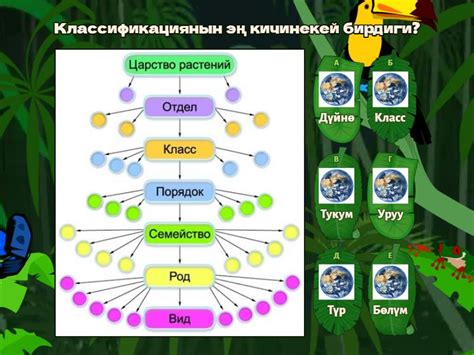 Биология 6-класс - Quiz