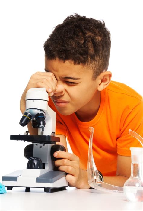 Best Microscope for Kids: 2025 Reviews and Buying Guide - MomDot