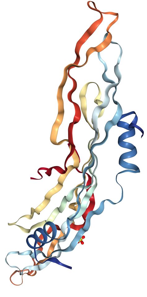 Gremlin 1grem1 Protein Overview Sino Biological