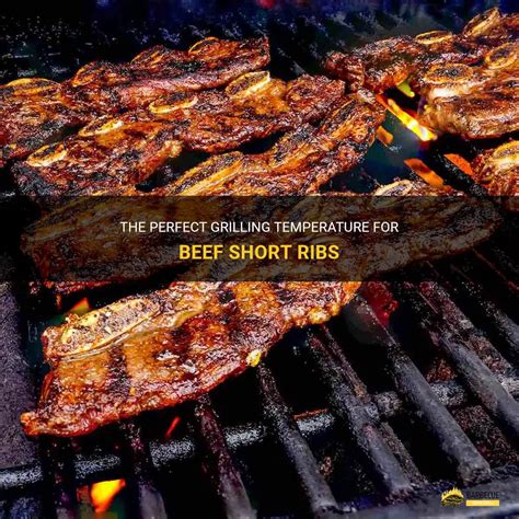 The Perfect Grilling Temperature For Beef Short Ribs Shungrill