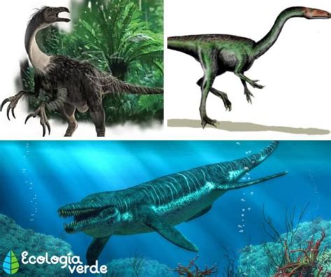 Dinosaurios CarnÍvoros Nombres Tipos Características E Imágenes