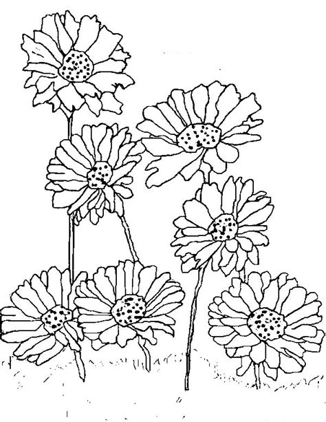 Gerber Daisy Coloring Pages At Free Printable