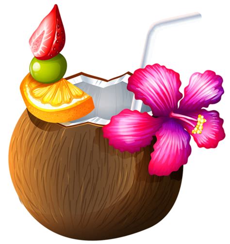 Download High Quality Luau Clipart Coconut Transparent Png Images Art