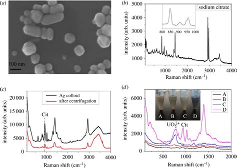 A Sem Image Of Agnps B Raman Spectrum Of Sodium Citrate Crystal