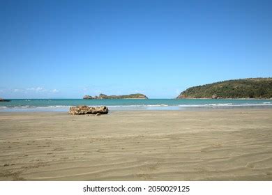 Beach Cape Hillsborough Queensland Australia Stock Photo 2050029125 | Shutterstock