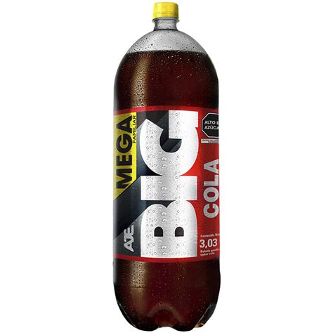 Gaseosa Big Cola Botella 303l Real Plaza