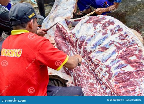 Indonesia Muslims Help Each Other Prepare Halal Slaughtering During Eid