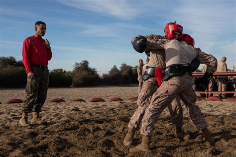 Dvids Images Bravo Company Body Sparring And Pugil Sticks Image