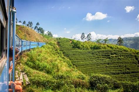 21 Fun Things To Do In Nuwara Eliya Sri Lanka Destinationless Travel