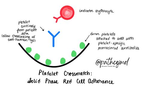 Case Platelet Refractoriness