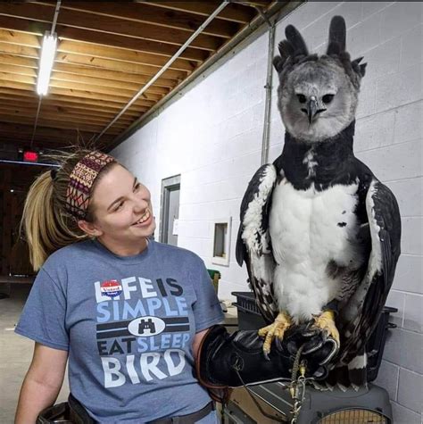 🔥 This Harpy Eagle R Natureisfuckinglit