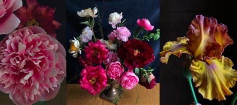 Sold Out Peony And Iris Extravaganza May 27 29 — Flowering With Nicolette