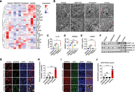 Ire1α Silences Dsrna To Prevent Taxane Induced Pyroptosis In Triple