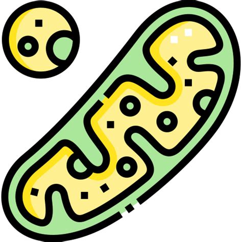 Mitochondria Detailed Straight Lineal Color Icon