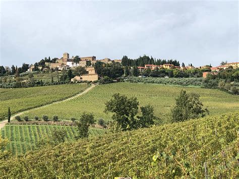 Wandelvakantie Toscane Ontdek De Bekende Wijnstreek Chianti