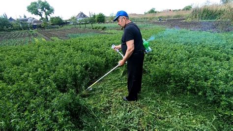 Триммер бензиновый для травы 🌿 Как косить и делать валок мотокосой ...