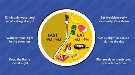 How To Eat To Your Circadian Rhythms