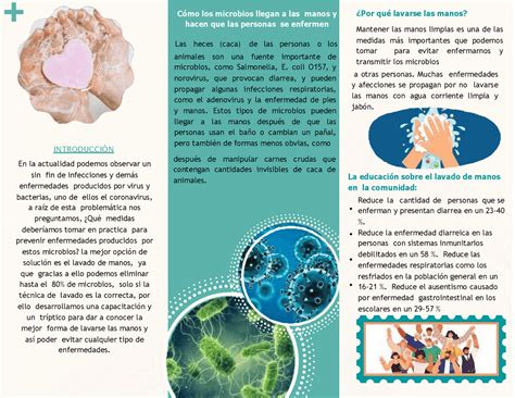 Tríptico Lavado De Manos Esquemas Y Mapas Conceptuales De Enfermería Docsity