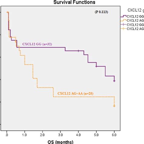 Overall Survival According To Cytogenetics Risk Stratification In Aml