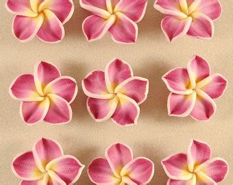 Items Similar To Pcs Deeppink Fimo Polymer Clay White Petals