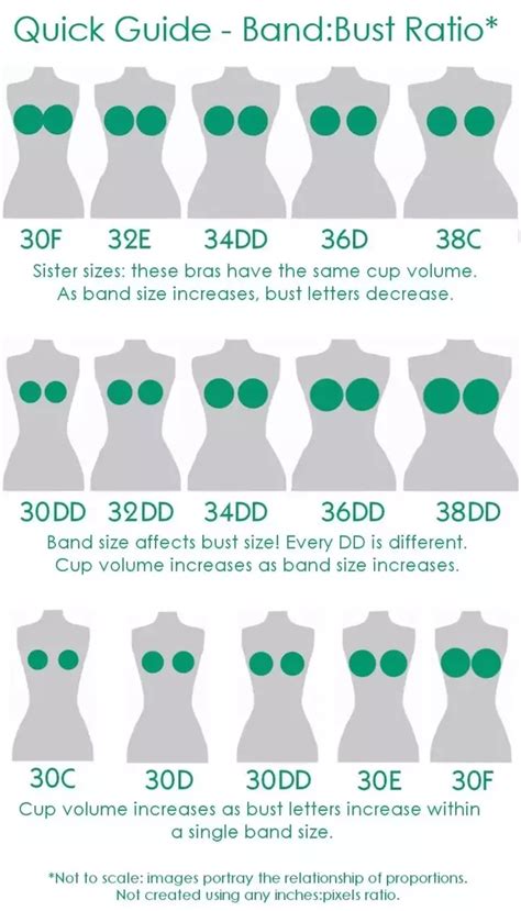 What Are The Different Bra Sizes What Does The Number And Letter Represent Respectively Quora