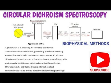 Circular Dichroism Spectroscopy Principle Procedure And Applications