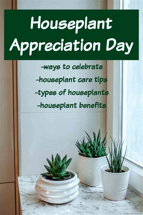 Celebrate Houseplant Appreciation Day with Houseplant Care Tips