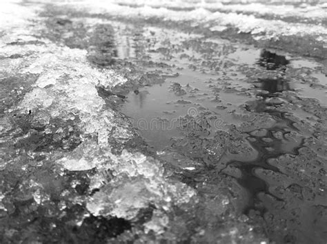 Beautiful Puddles With Ice Crust Snow And Reflection In Winter Or