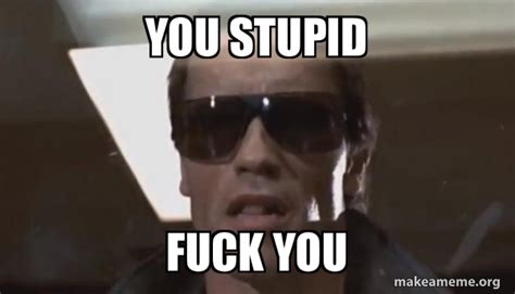 You Stupid Fuck You The Terminator Meme Generator