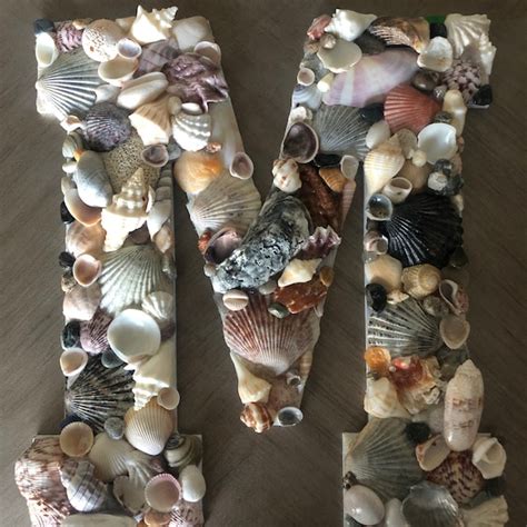 Seashell Decor Etsy