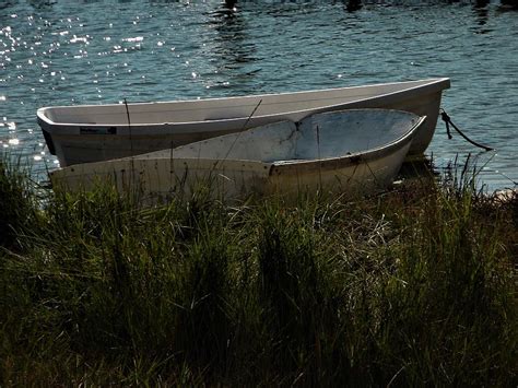 White Dinghies Photograph by Sharon Thompson - Fine Art America