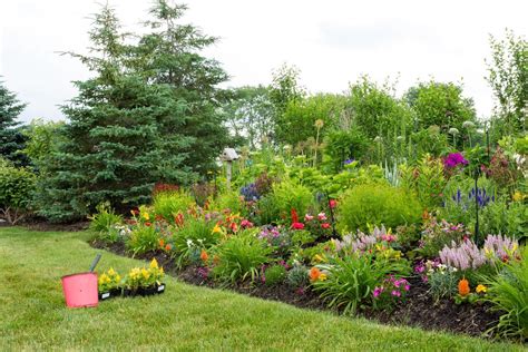 Good Plants For Berms: What To Grow On A Berm | Gardening Know How